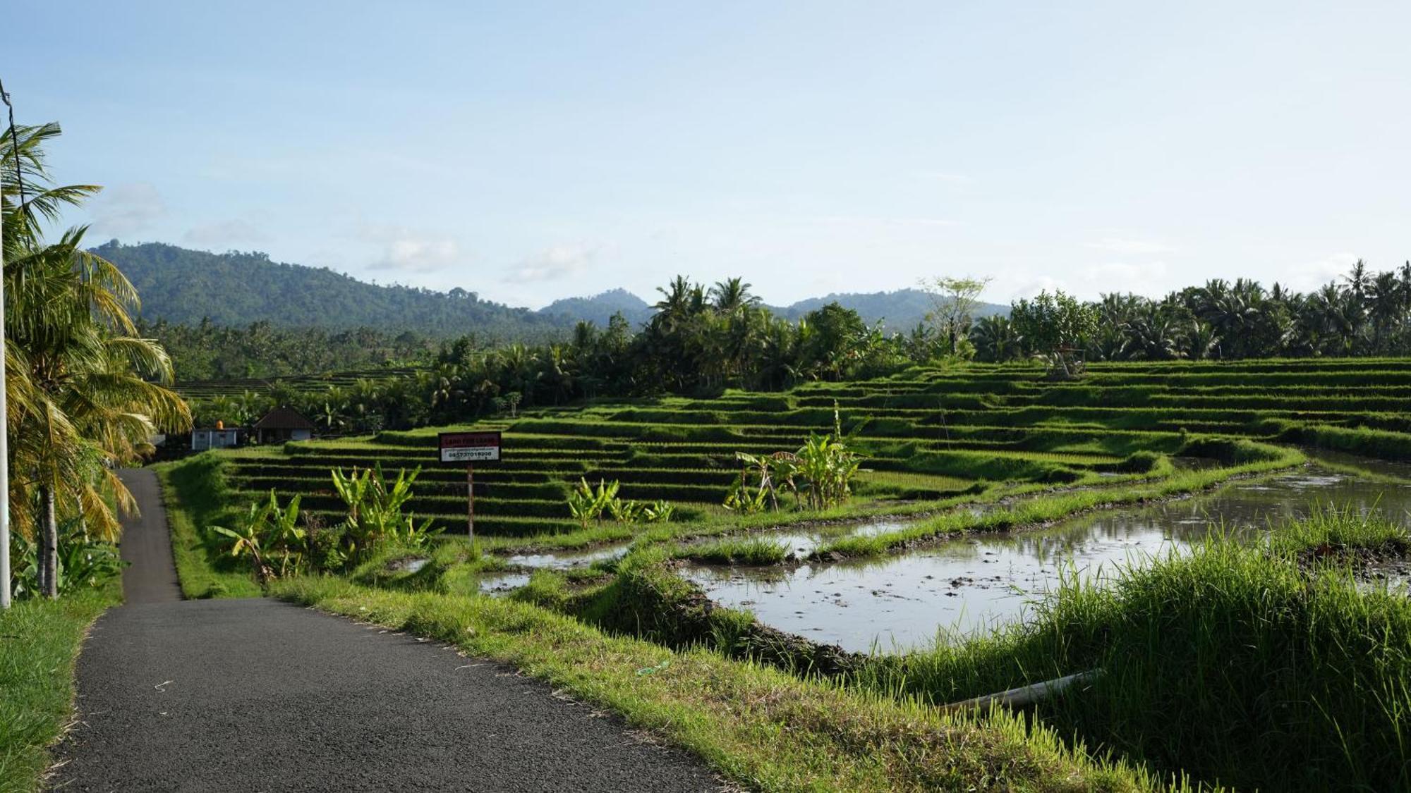 Kelapa Retreat & Spa Pulukan Exterior foto